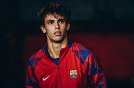 乐天桃猿在 2025 台湾大赛第五战依靠林泓育的关键长打，时隔多年重返巅峰